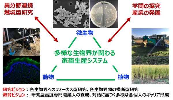 研究紹介