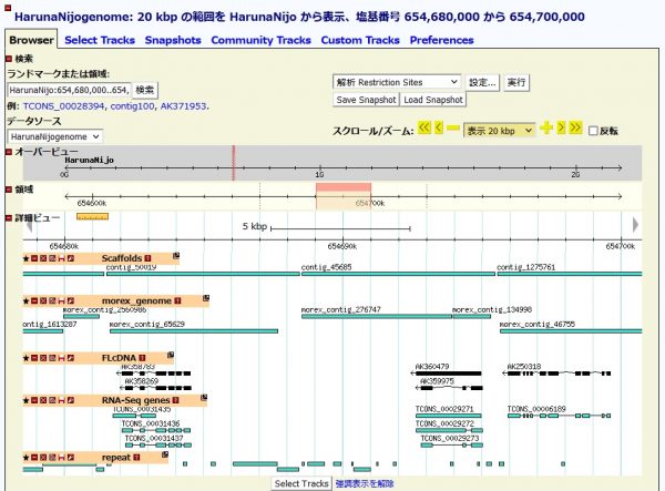 naro-subprogram-lab1-1